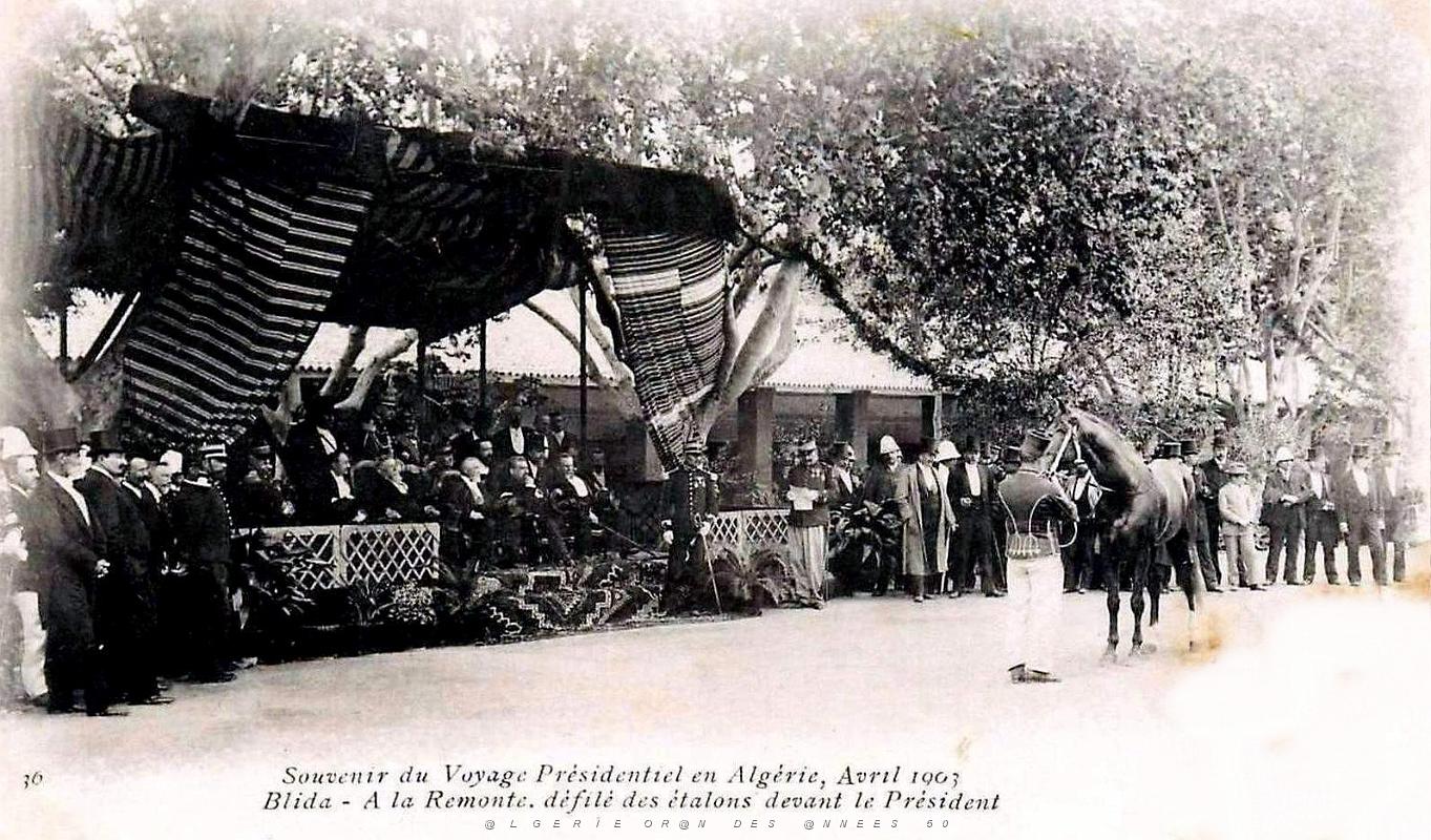 2010- Blida - Voyage Presidentiel 1903 - Defile etalons.jpg